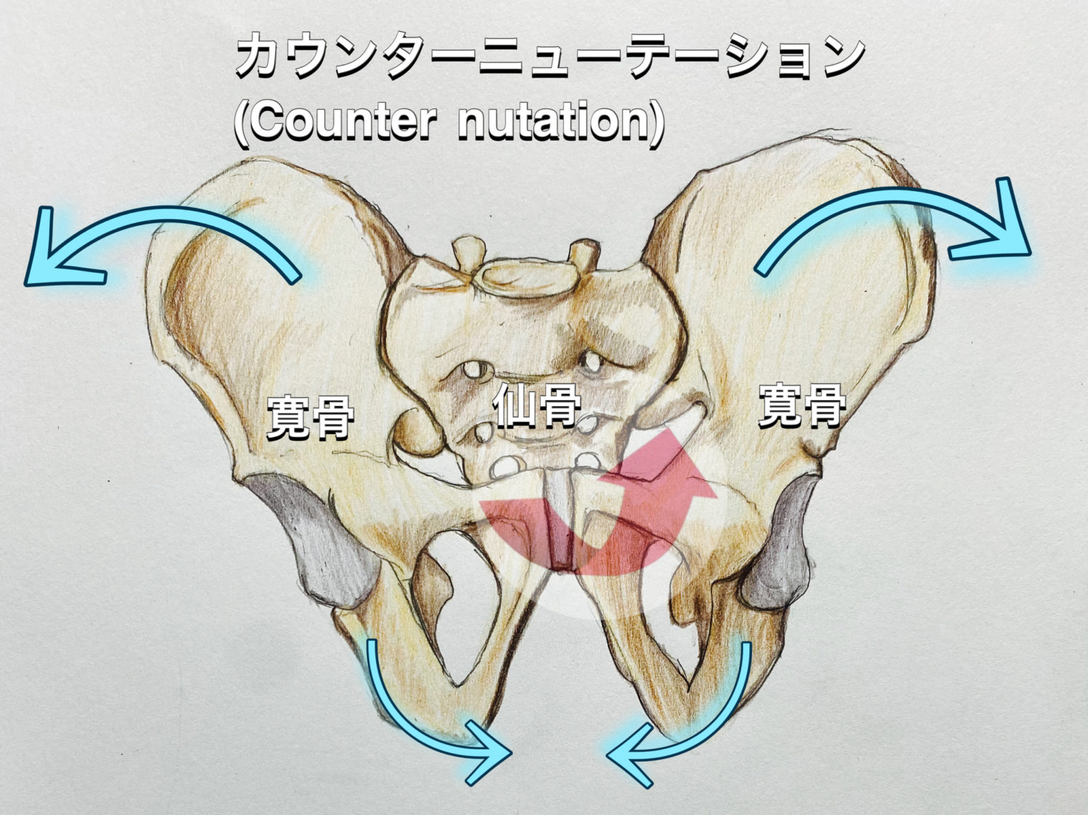 5. 大腿四頭筋ストレッチ